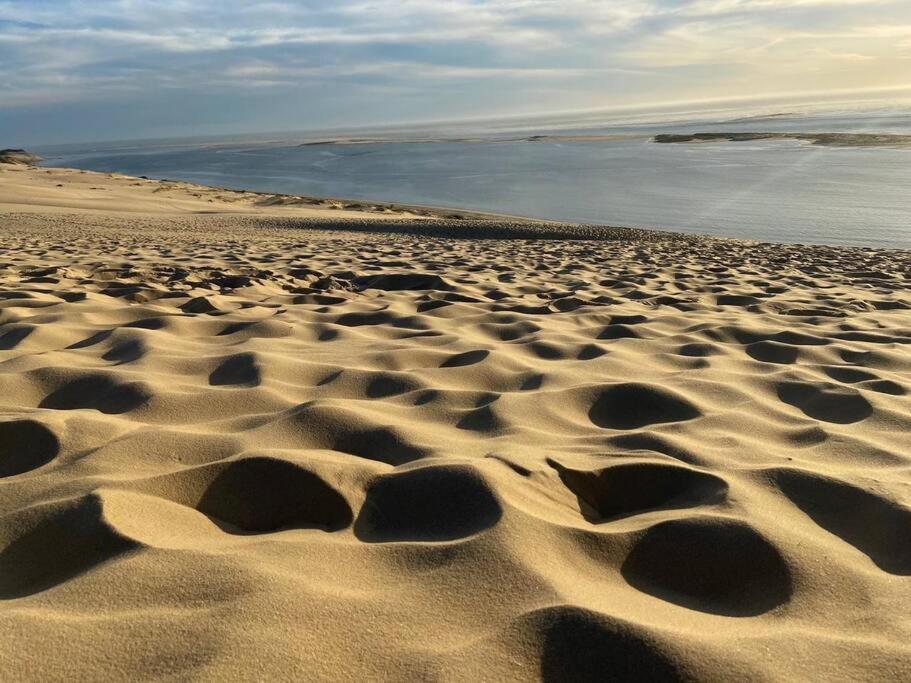 Villa Arcachon 12 Pers Avec Piscine Chauffee 1 Mai Au 30 Sept Dış mekan fotoğraf