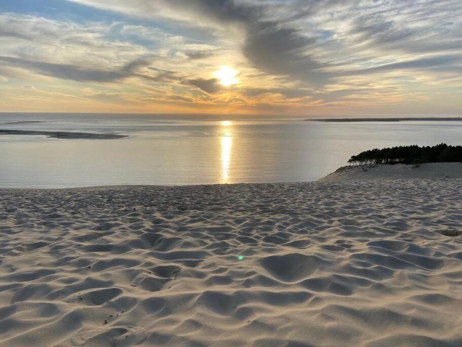 Villa Arcachon 12 Pers Avec Piscine Chauffee 1 Mai Au 30 Sept Dış mekan fotoğraf