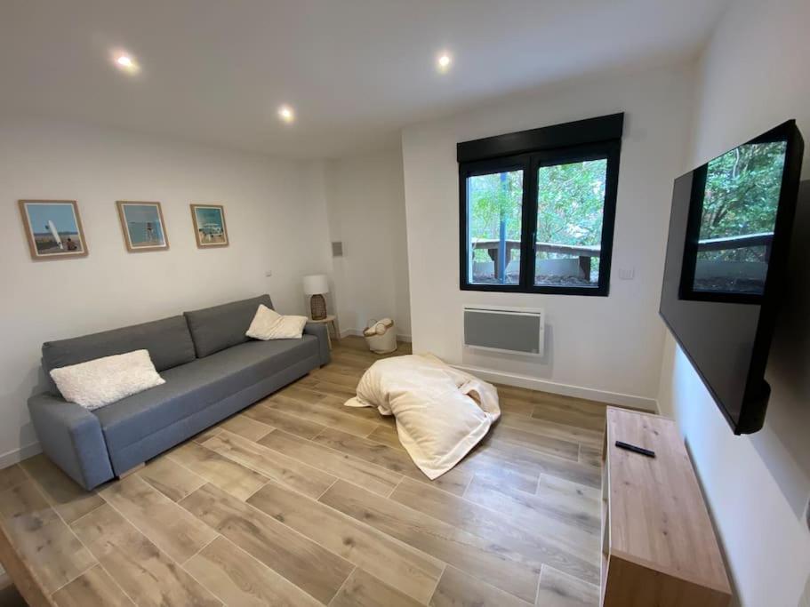 Villa Arcachon 12 Pers Avec Piscine Chauffee 1 Mai Au 30 Sept Dış mekan fotoğraf